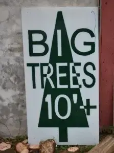 Christmas tree sign at Peterson Family Farm