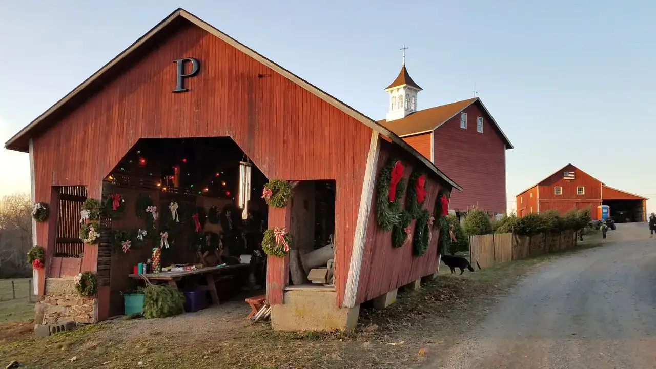 Holiday wreaths in the Peterson Family Farm barn