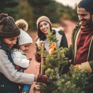 A Family Outing to Our Christmas Tree farm