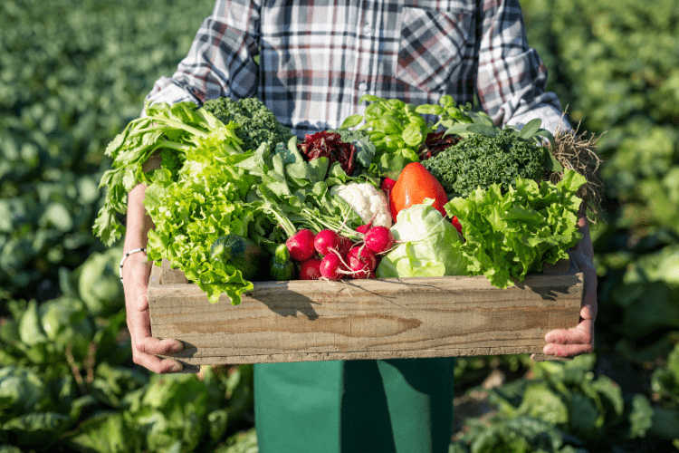 our NJ CSA