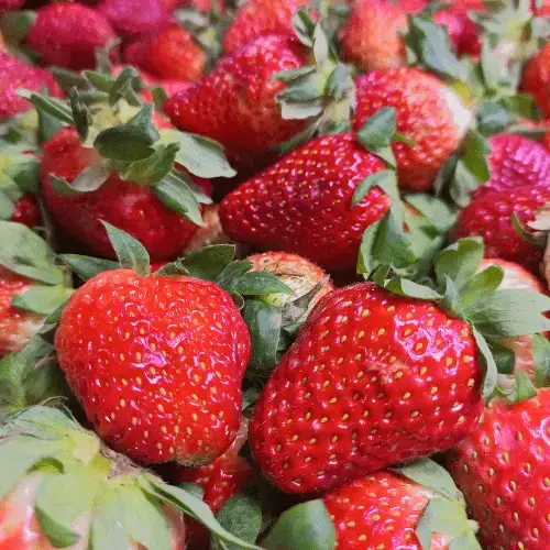 close up strawberry