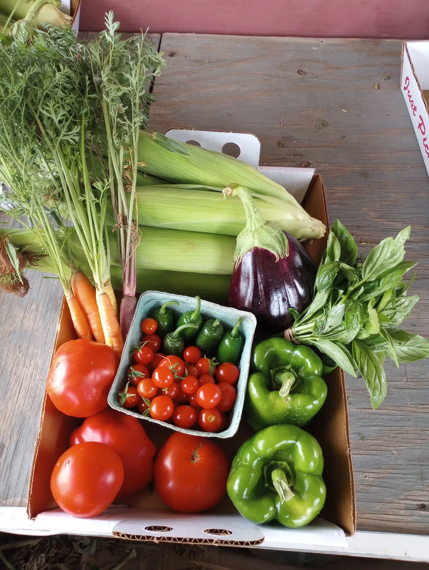 IMG_20250806_152645115